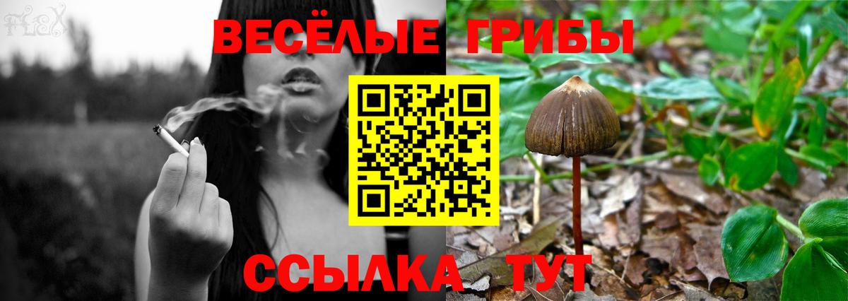 Галлюциногенные грибы прущие грибы Грязи