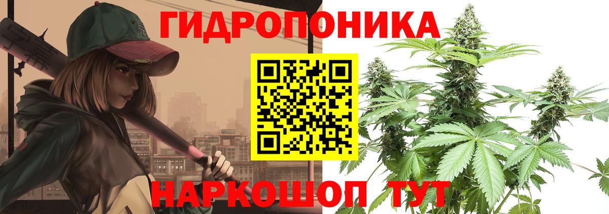 Бошки марихуана индика  Вход с VPN  Марихуана конопля  Грязи  Шишки марихуана THC 21% 